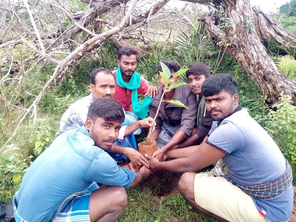  Kaifa friends who  put a thousand trees