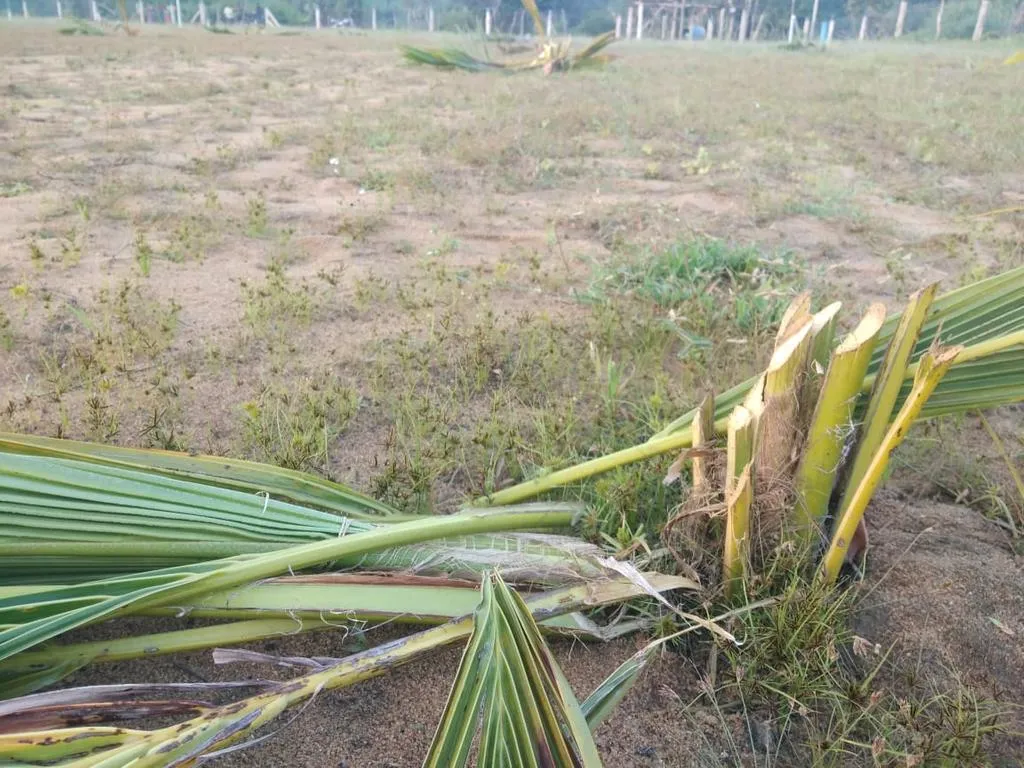 incident in pudukottai 