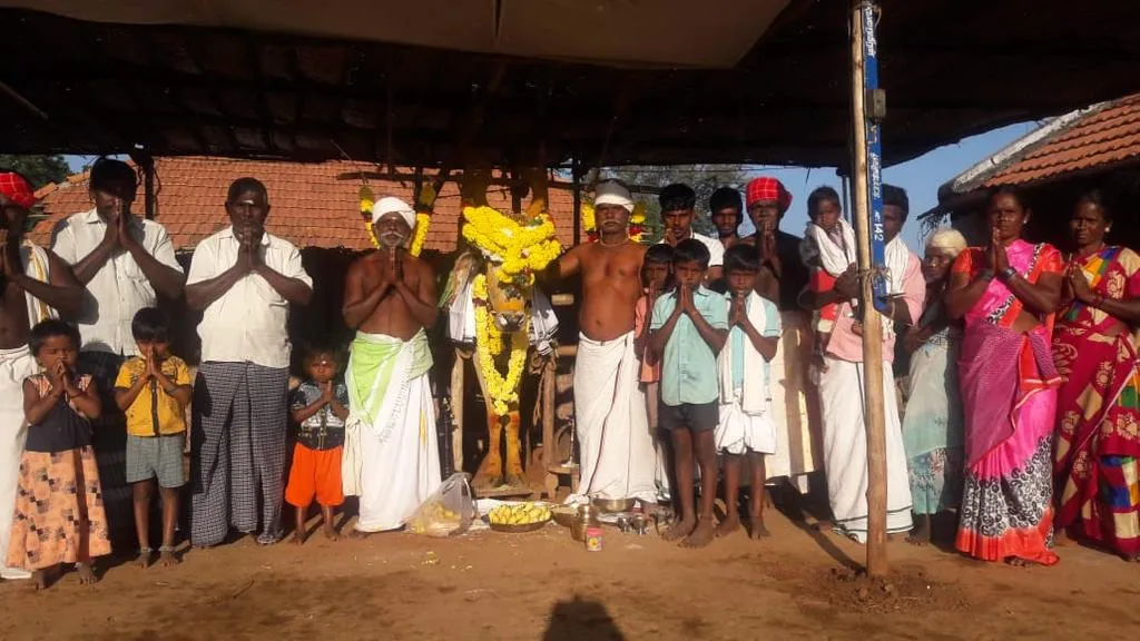 temple bull! 18  People Crying