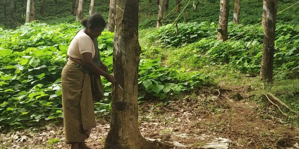 Rubber plantation Employees are talk  Wage increase