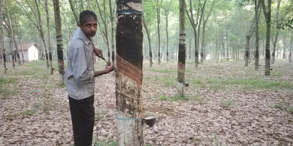 kumari rubber factory employees strike 
