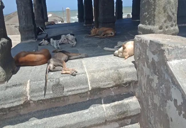 KANNIYAKUMARI DISTRICT TOURIST PLACE CORONAVIRUS LOCKDOWN 