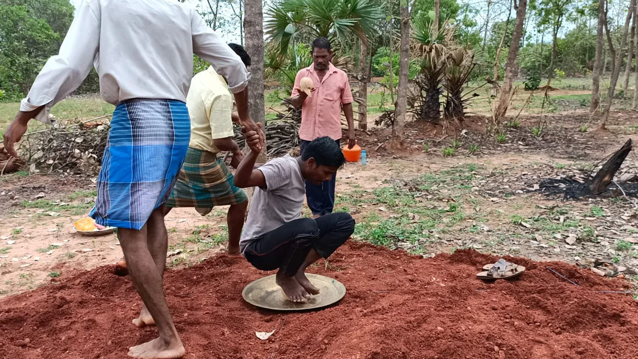 Area Cultivators for 'Coconut Rolling System'