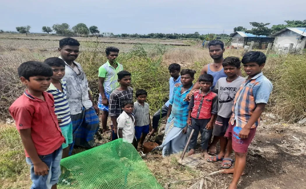 Ariyalur Children planting trees