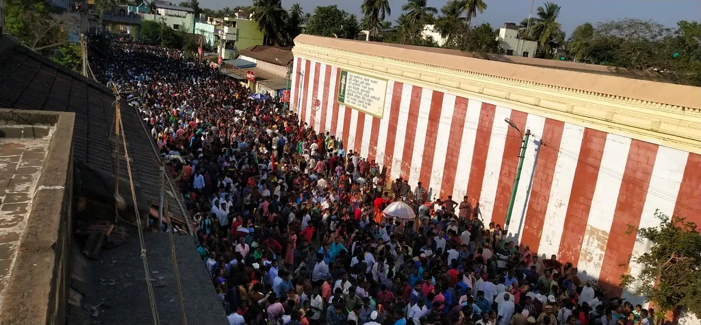 festival 