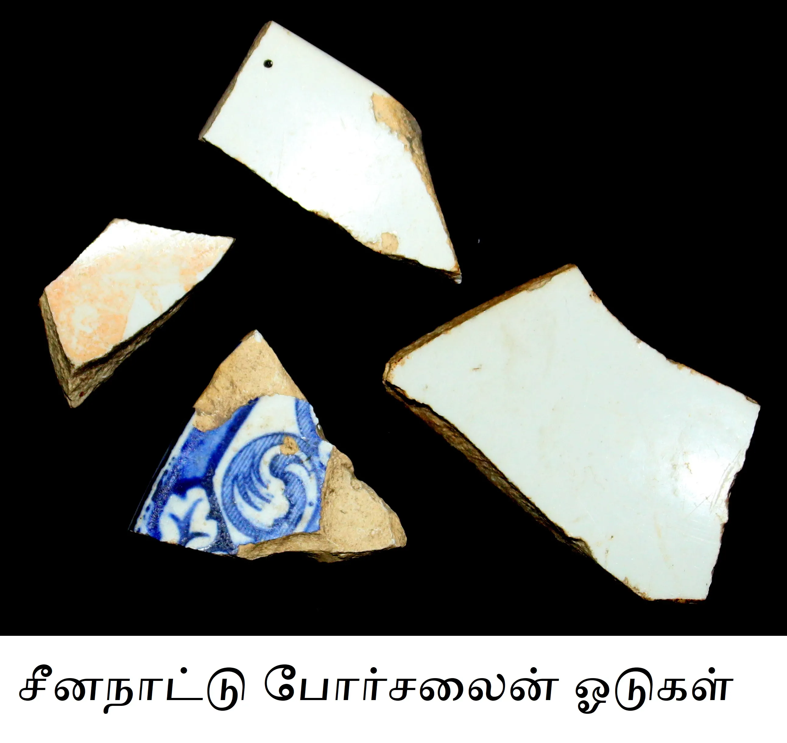  The discovery of the Sangam city on the Vaigai coast