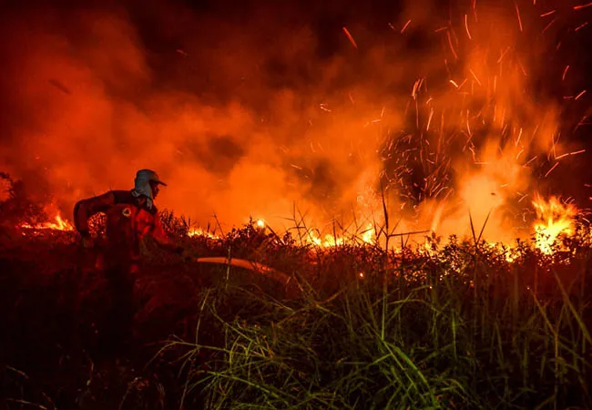 INDONESIA FOREST INCIDENT AIR POLLUTION AFFECT IN SINGAPORE 