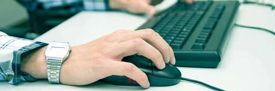 Software job