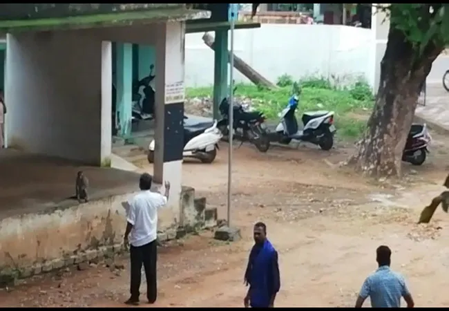 THIRUVARUR DISTRICT GOVERNMENT SCHOOL MONKEY ROUTINE STUDENTS, TEACHERS, PARENTS SHOCK  