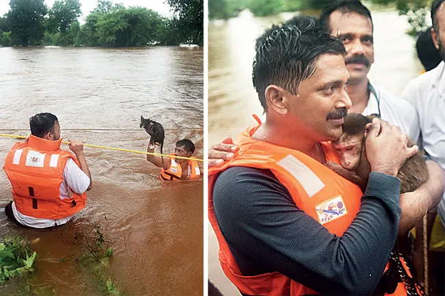 RED ALERT IN MAHARASHTRA