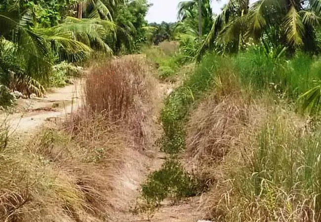 PUDUKKOTTAI  After 25 years, youth Irrigation Request to resume work immediately with funds allocated