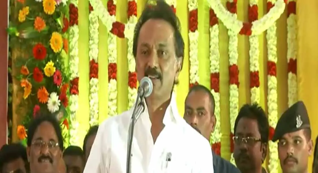 DMK 
