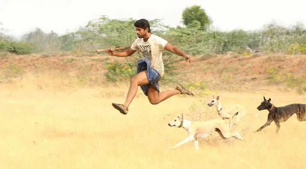 pariyerum perumal