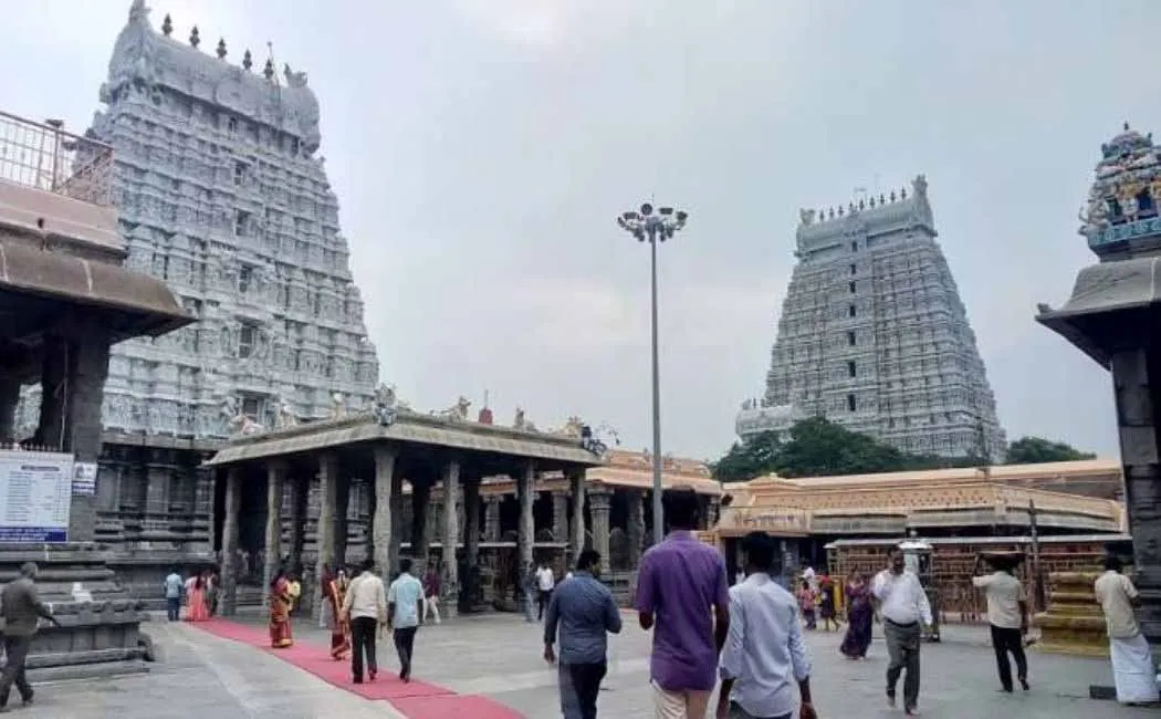 TEMPLE4434