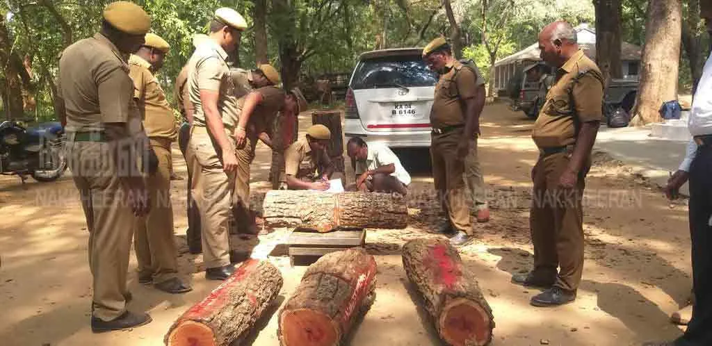 INCIDENT IN THIRUPATHUR... FOREST DEPARTMENT SHOCK 