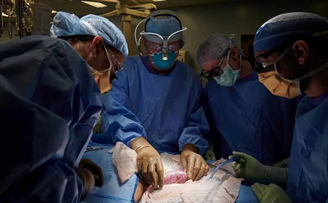 US SURGEONS 