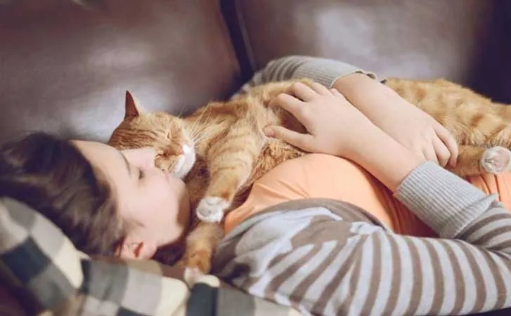 SLEEP 