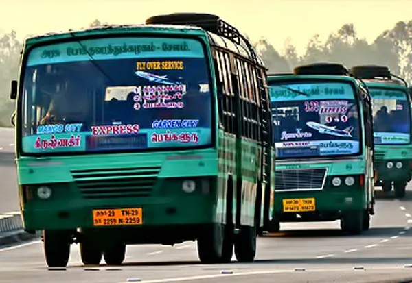 buses