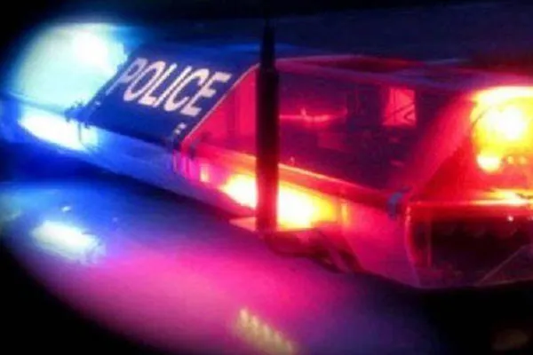 person who bought the dog and returned it after a month was stabbed