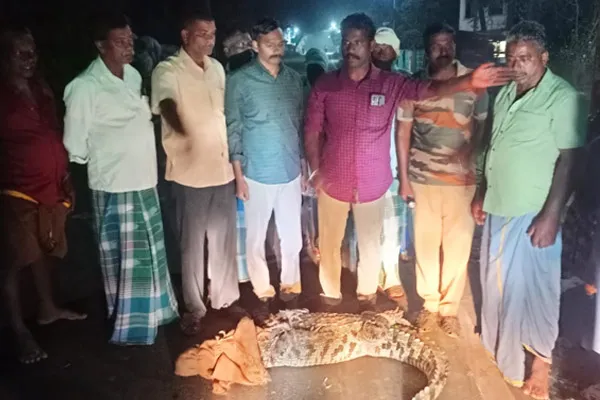  crocodile entered a house near Chidambaram