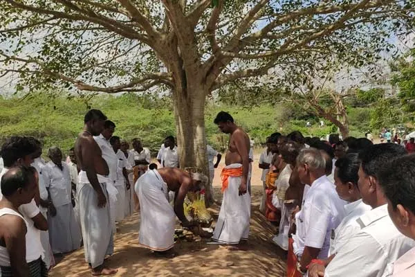Kallanai Canal Bank Veeramakaliamman Temple Mulaipari Festival 