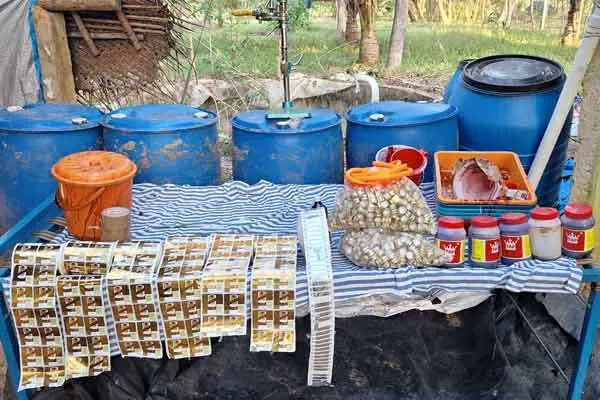 Tasmac is a fake liquor sold in bars