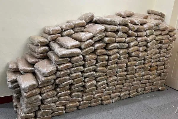 Rs. 112 Crore cannabis seized  to Sri Lanka