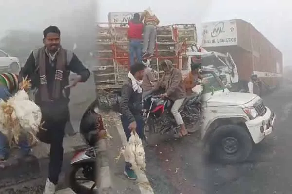People carrying chickens during a road accident