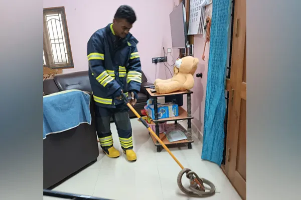 A 7-foot-long snake entered the house in Trichy 