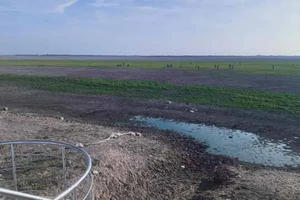 Veeranam lake turned into a playground 