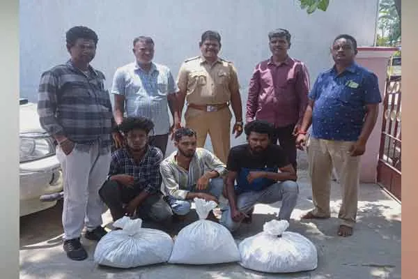 Three arrested for smuggling 20 kg of cannabis in a Kerala-bound train.