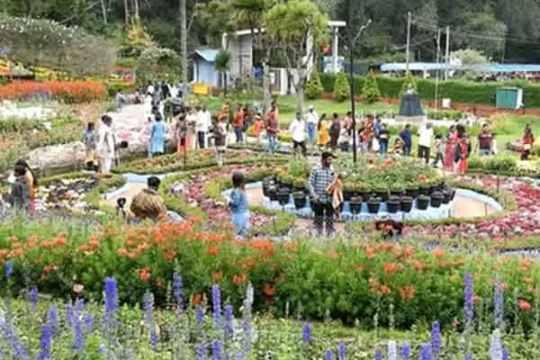Kodaikanal flower fair starts today 