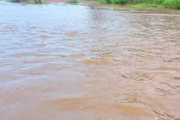 Flooding in Uttar Kaveri river due to heavy rains