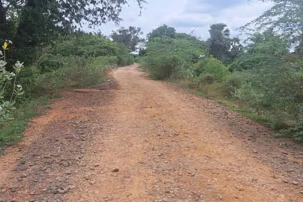 Public demand to complete Kollidam left bank road as soon as possible