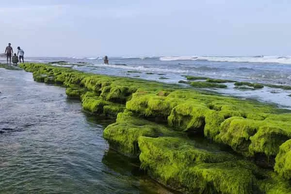 sea suddenly engulfed 100 in Tiruchendur
