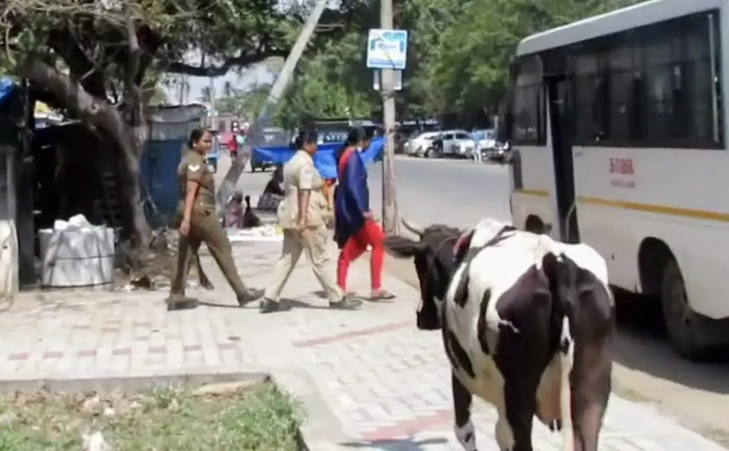 Female policeman who smuggled liquor in uniform nagapattinam
