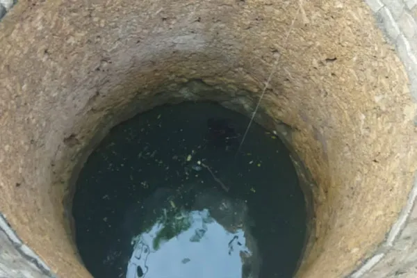  brother lost their life trying to save his younger sister who had jumped into a well