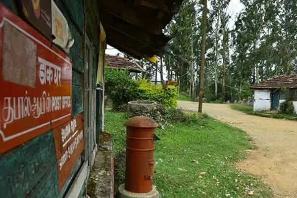 Bullet Raja elephant, released into wild, creates a storm  mountains