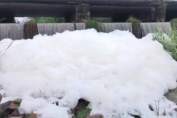 balaru  river forming with wastewater released from industries using the heavy rain