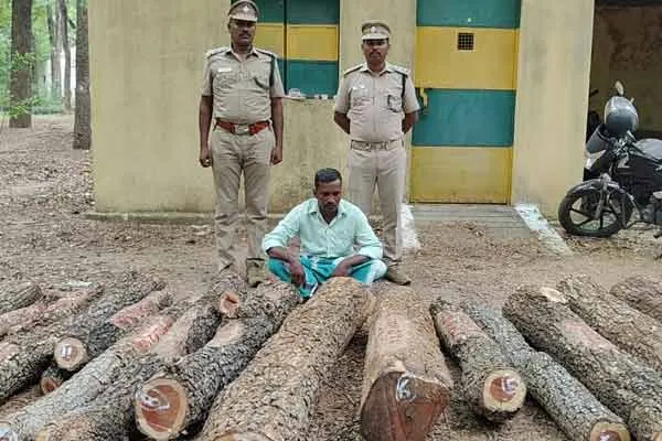 man who smuggled sheep worth 5 lakhs in Tamil Nadu was arrested