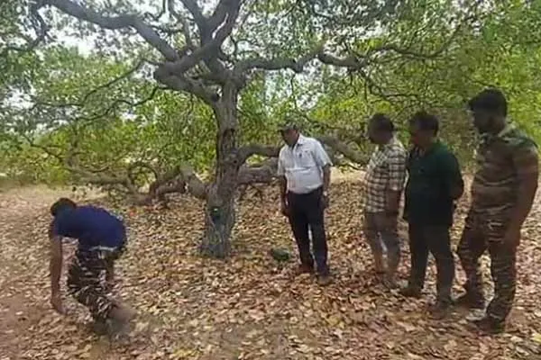 People are afraid because of movement of leopards in Ariyalur
