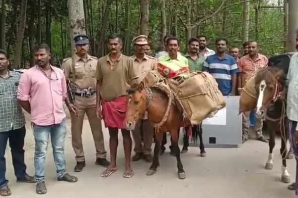 Delivery of ballot boxes by horse to the villages of theni Hill