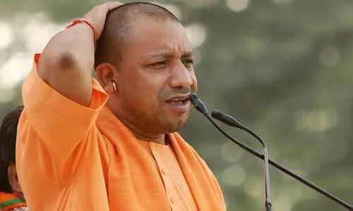 yogi