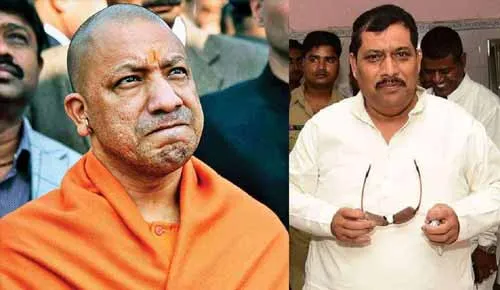 Yogi