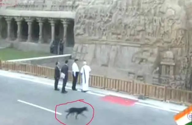  Modi meets Chinese President ...