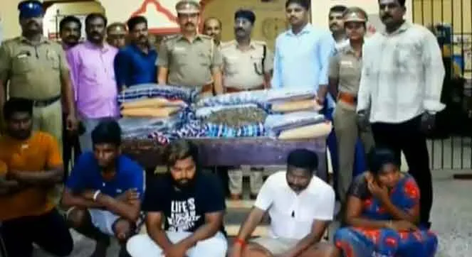 cannabis inside the pillow....  sale to whole North chennai is exposed