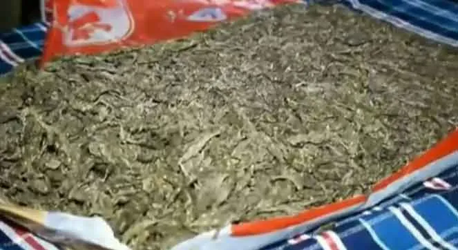 cannabis inside the pillow....  sale to whole North chennai is exposed