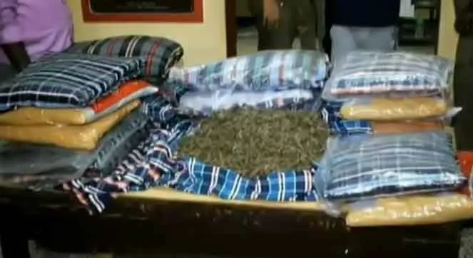 cannabis inside the pillow....  sale to whole North chennai is exposed
