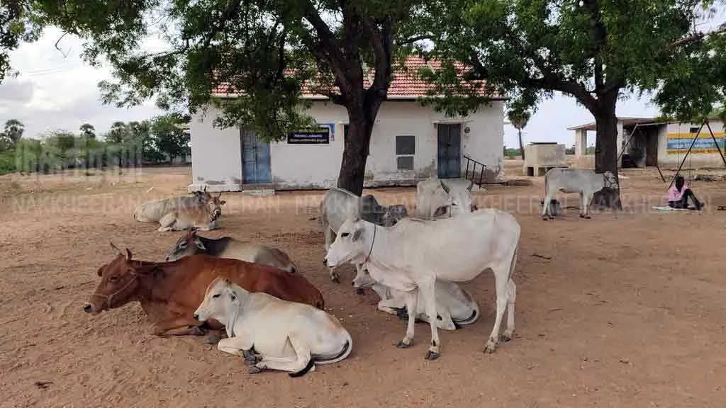 Villagers' decision to open another school closed by government ...