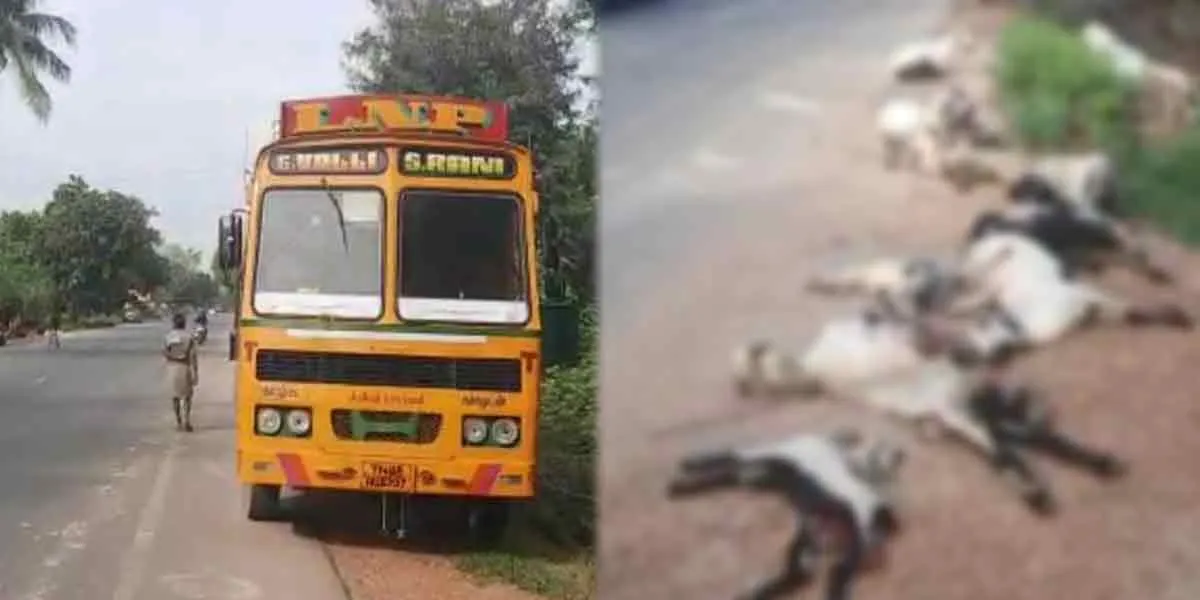 incident in viruthachalam 